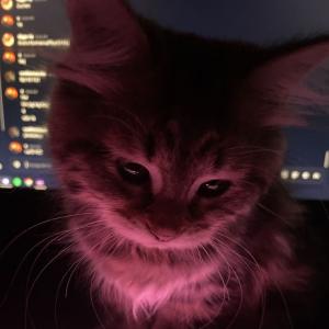 uglyprincess